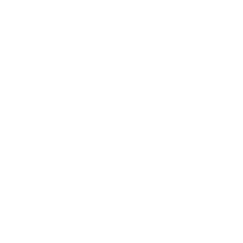 MSN FUND